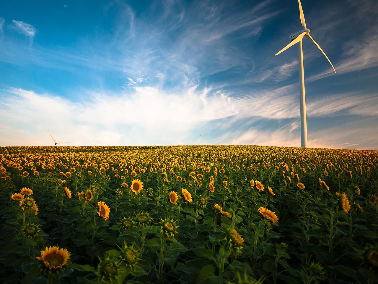 Vast of variabel energiecontract in 2024?
